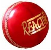 SS Reactor Cricket Ball
